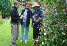 Garden Tours garden tour image