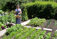 Vegetable Garden Vegetable Garden image