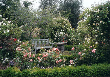 Click to find out more about our garden tours Garden Tours image